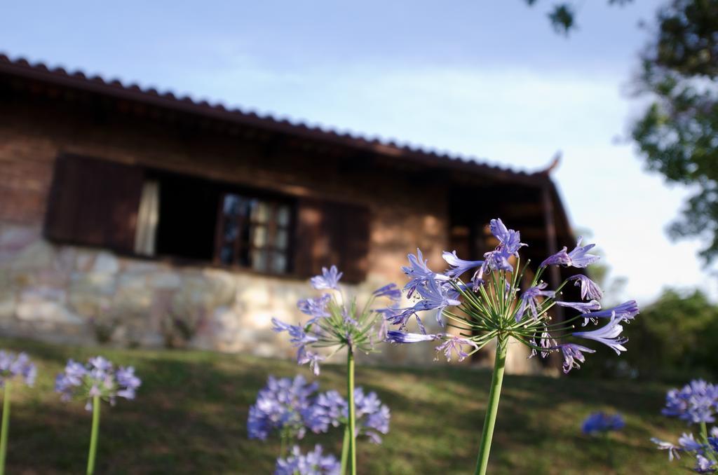 Pousada Spa Prana Lorien 호텔 Santo Antônio do Leite 외부 사진